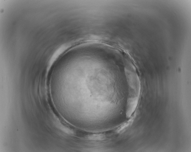 X0000069410102200605192314