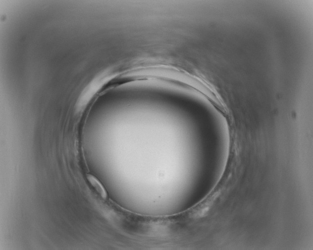 X0000069410103200605192314