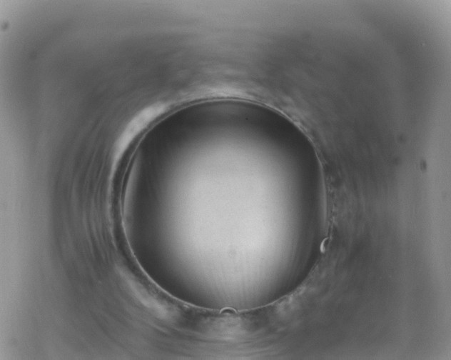 X0000069410104200605192314