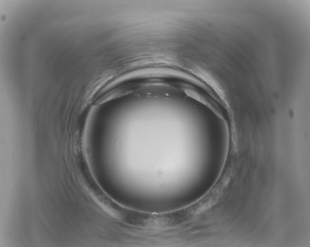 X0000069410105200605192314