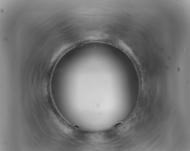 X0000069410106200605192314