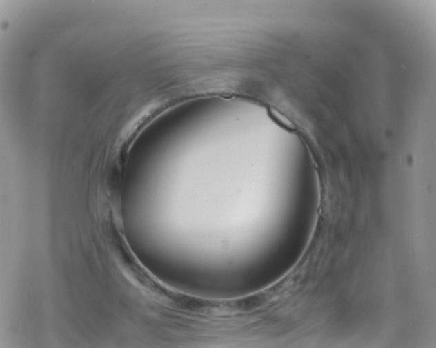 X0000069410107200605192314