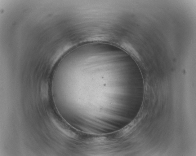 X0000069410108200605192314