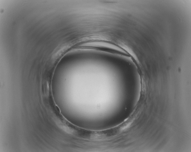 X0000069410109200605192314