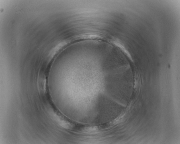 X0000069410110200605192314