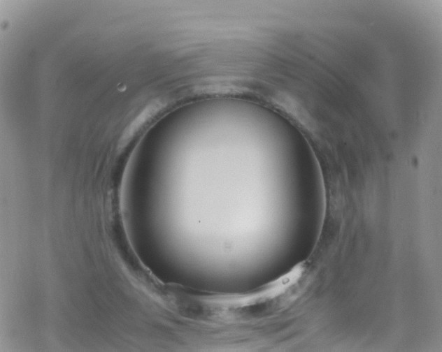 X0000069410111200605192314