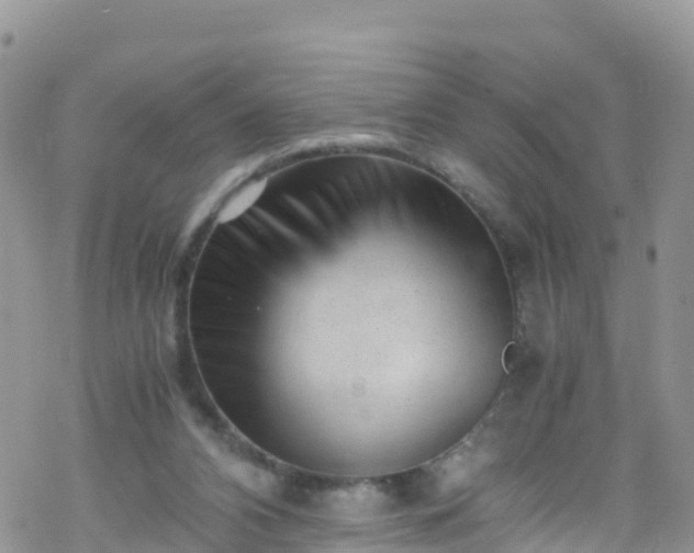 X0000069410112200605192314