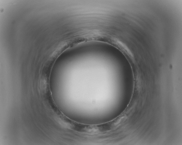 X0000069410113200605192314