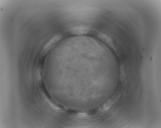 X0000069410114200605192314