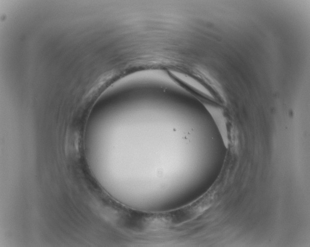 X0000069410115200605192314