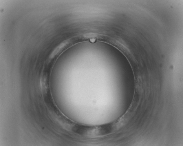 X0000069410116200605192314