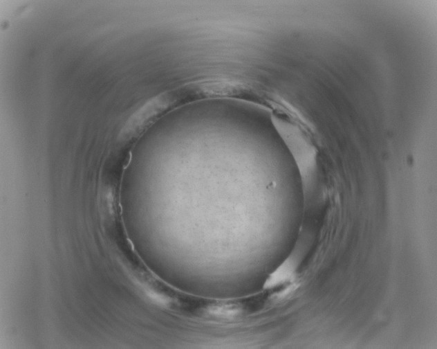 X0000069410117200605192314