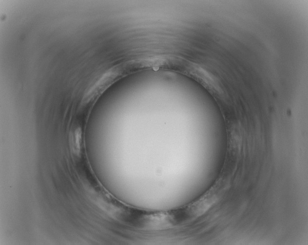 X0000069410118200605192314