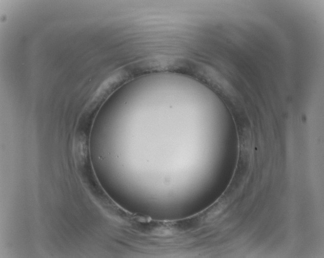 X0000069410119200605192313