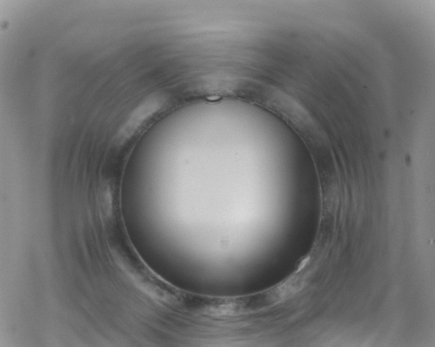 X0000069410120200605192313