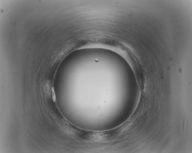 X0000069410121200605192313