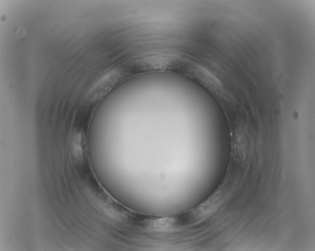 X0000069410122200605192313