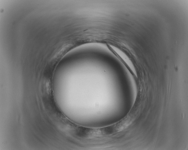 X0000069410123200605192313