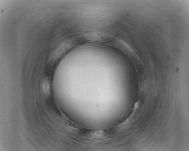 X0000069410124200605192313