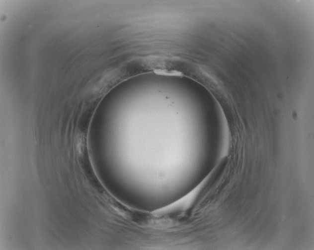 X0000069410125200605192313