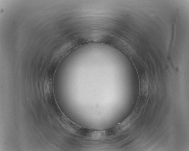 X0000069410126200605192313