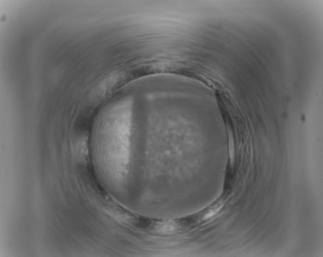 X0000069410127200605192313