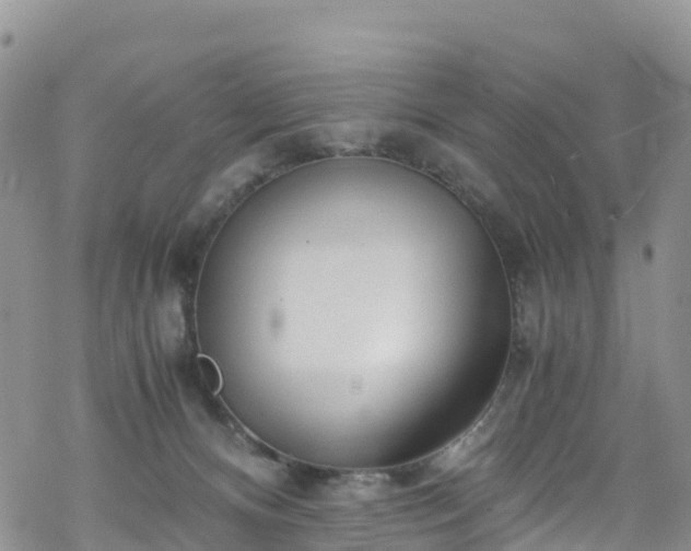 X0000069410128200605192313