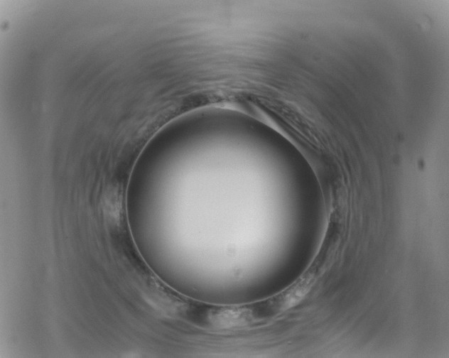 X0000069410129200605192313