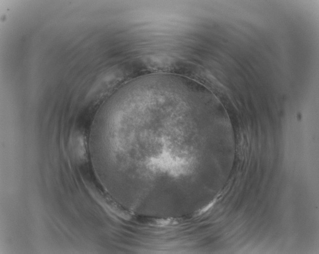 X0000069410130200605192313