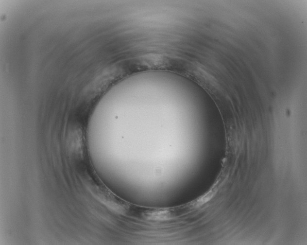 X0000069410132200605192313