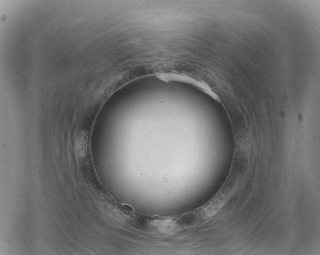 X0000069410133200605192313