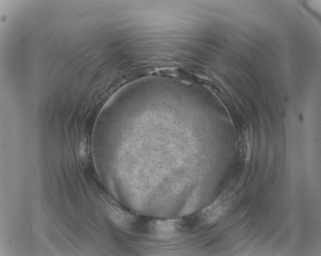 X0000069410134200605192313