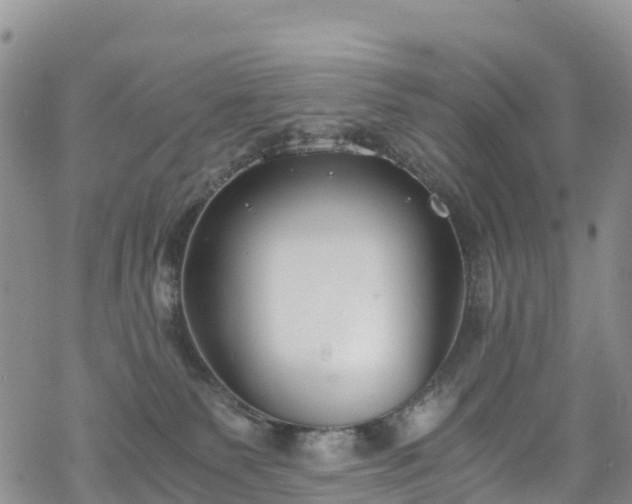 X0000069410135200605192313