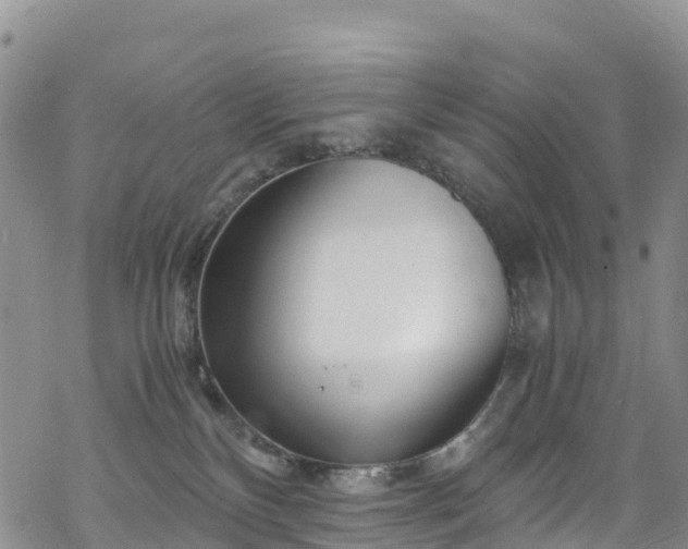 X0000069410136200605192313