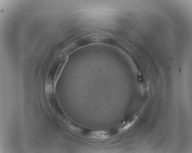 X0000069410137200605192313