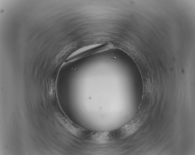 X0000069410138200605192313