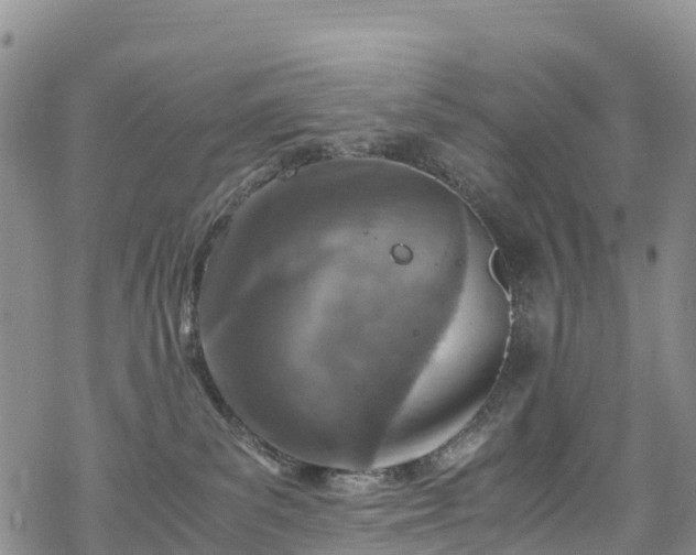 X0000069410139200605192313