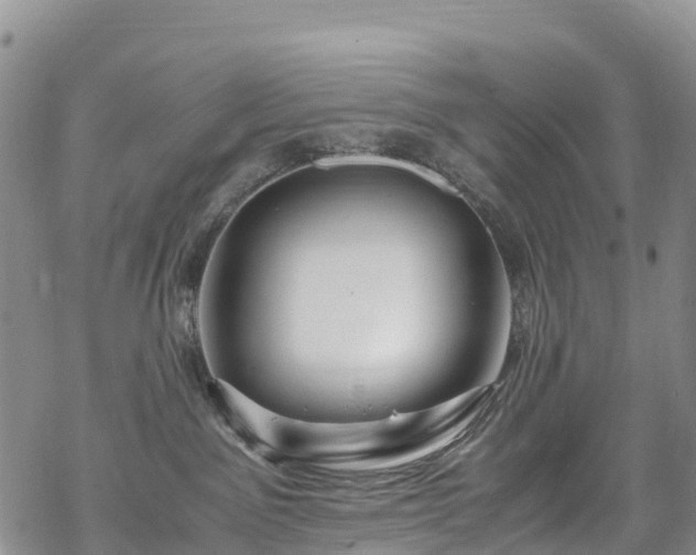 X0000069410141200605192313