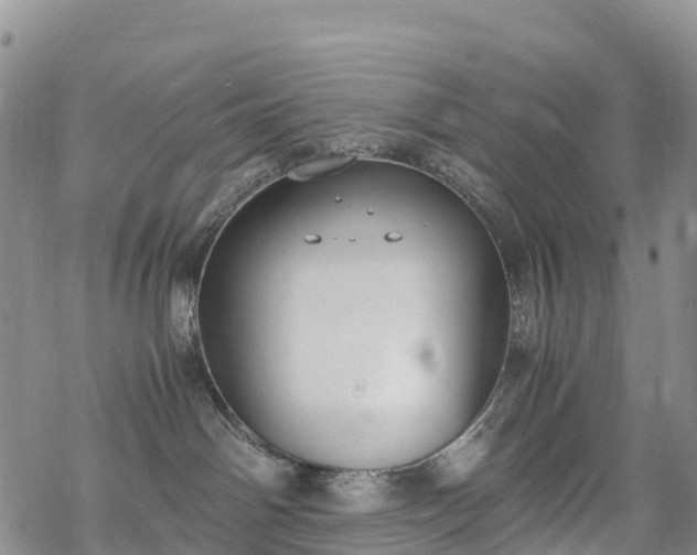 X0000069410142200605192313