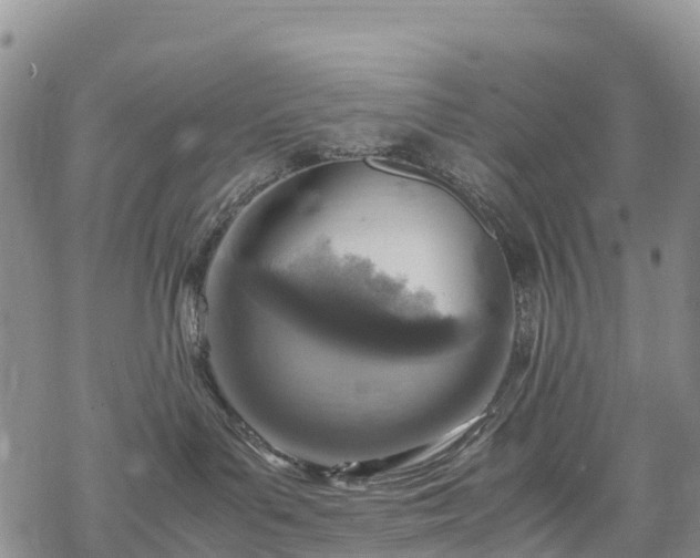 X0000069410143200605192313