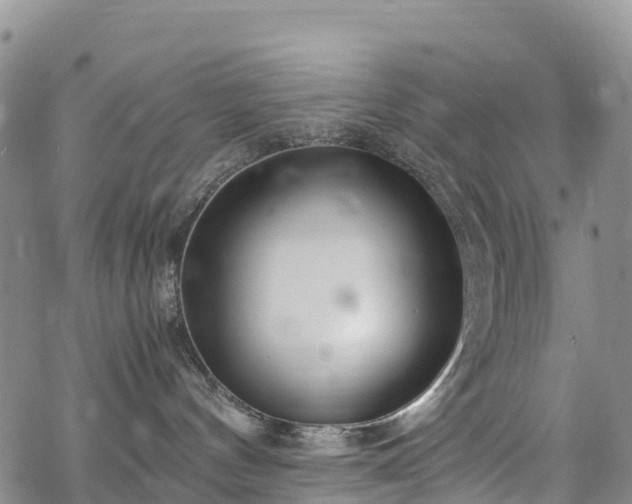 X0000069410144200605192313