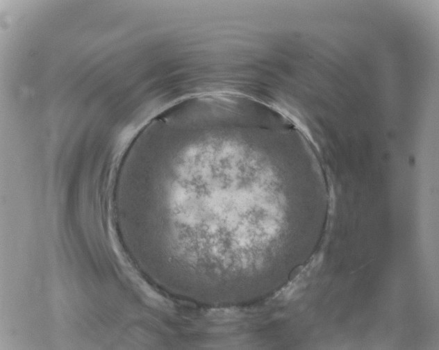 X0000069410145200605192312