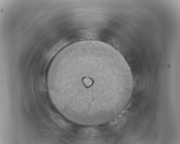 X0000069410146200605192312