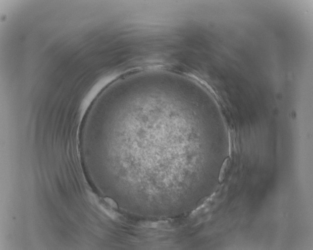 X0000069410147200605192312