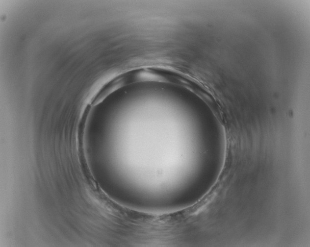 X0000069410148200605192312