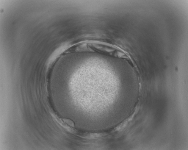 X0000069410149200605192312