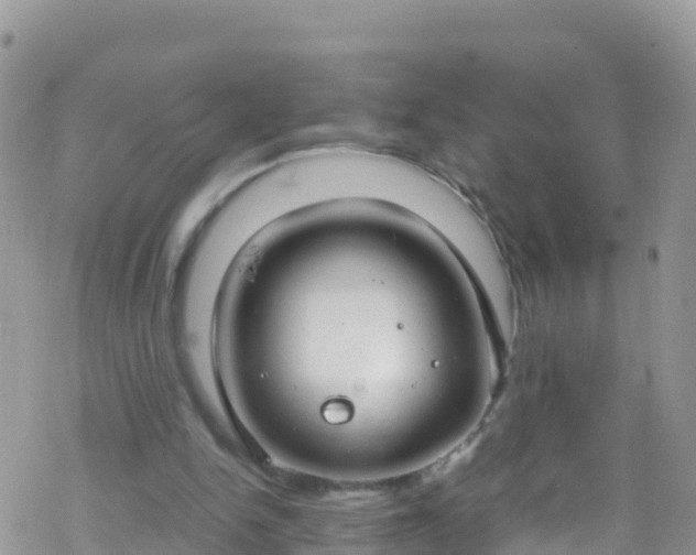 X0000069410150200605192312