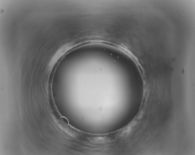 X0000069410151200605192312