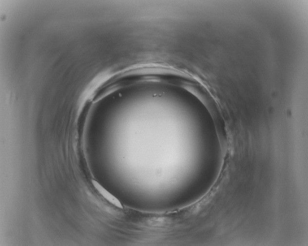 X0000069410152200605192312