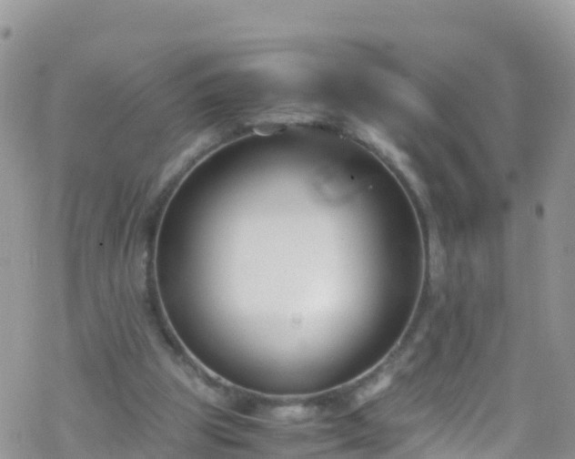 X0000069410153200605192312